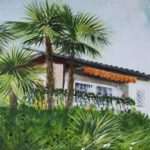 Finca