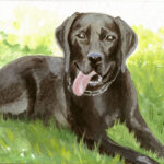 Labrador
