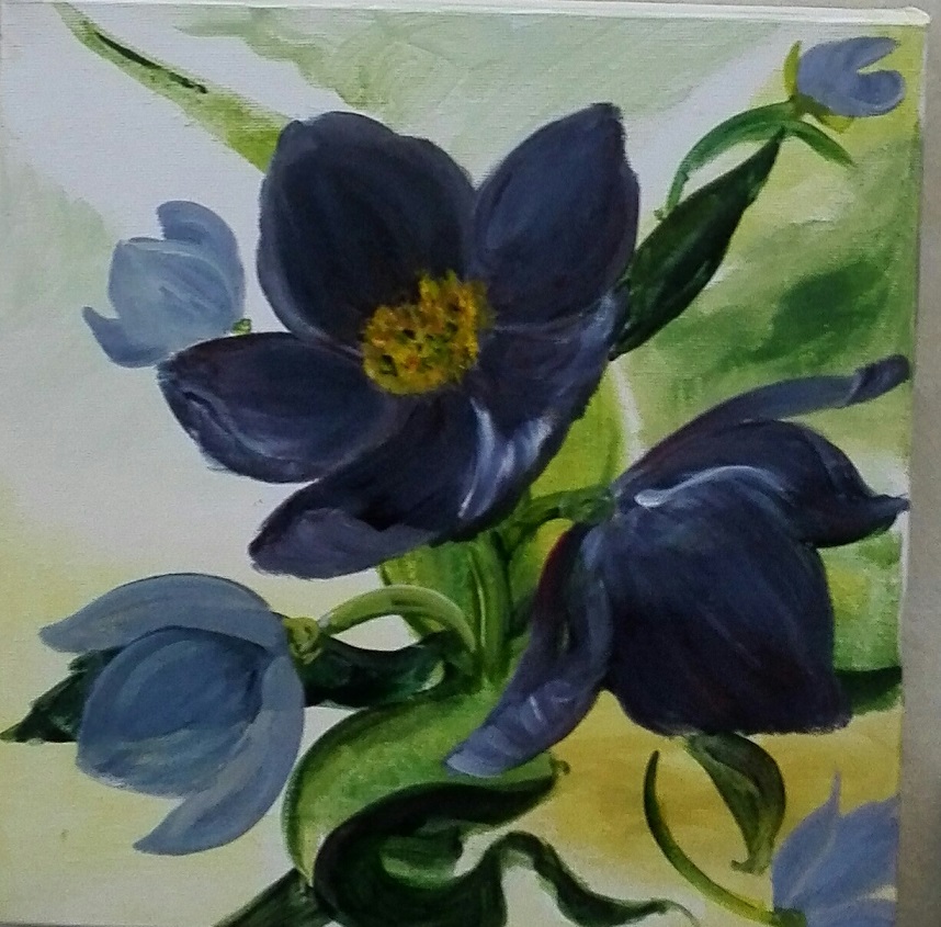 Frühlingsboten und Sommerwiesen 1